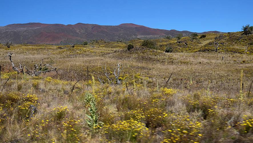 30-mauna kea-19